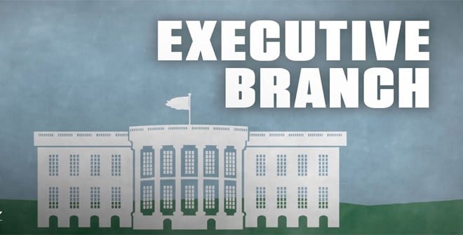 what-the-executive-branch-political-science